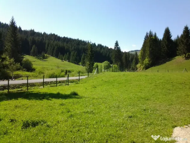 Vând 12.500 mp teren extravilan situat în comuna Lunca Ilvei Bistrița - Nasaud (Bistrita-Nasaud)