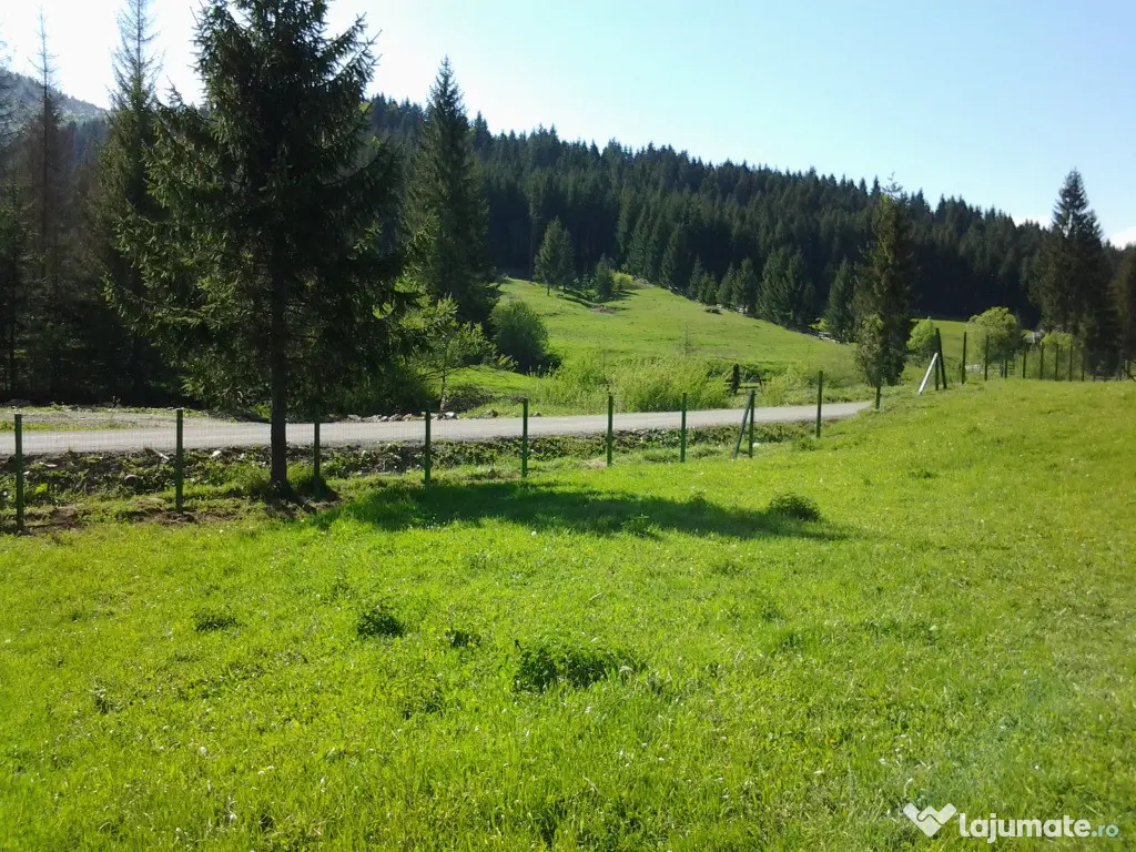 Vând 12.500 mp teren extravilan situat în comuna Lunca Ilvei Bistrița - Nasaud (Bistrita-Nasaud)