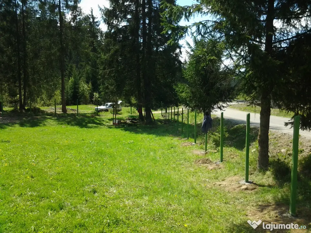 Vând 12.500 mp teren extravilan situat în comuna Lunca Ilvei Bistrița - Nasaud (Bistrita-Nasaud)