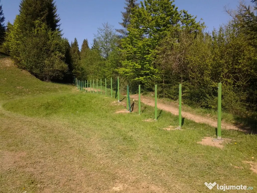 Vând 12.500 mp teren extravilan situat în comuna Lunca Ilvei Bistrița - Nasaud (Bistrita-Nasaud)