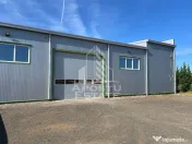 Hala pentru depozitare sau productie, 375 mp + birouri, Mosnita Noua