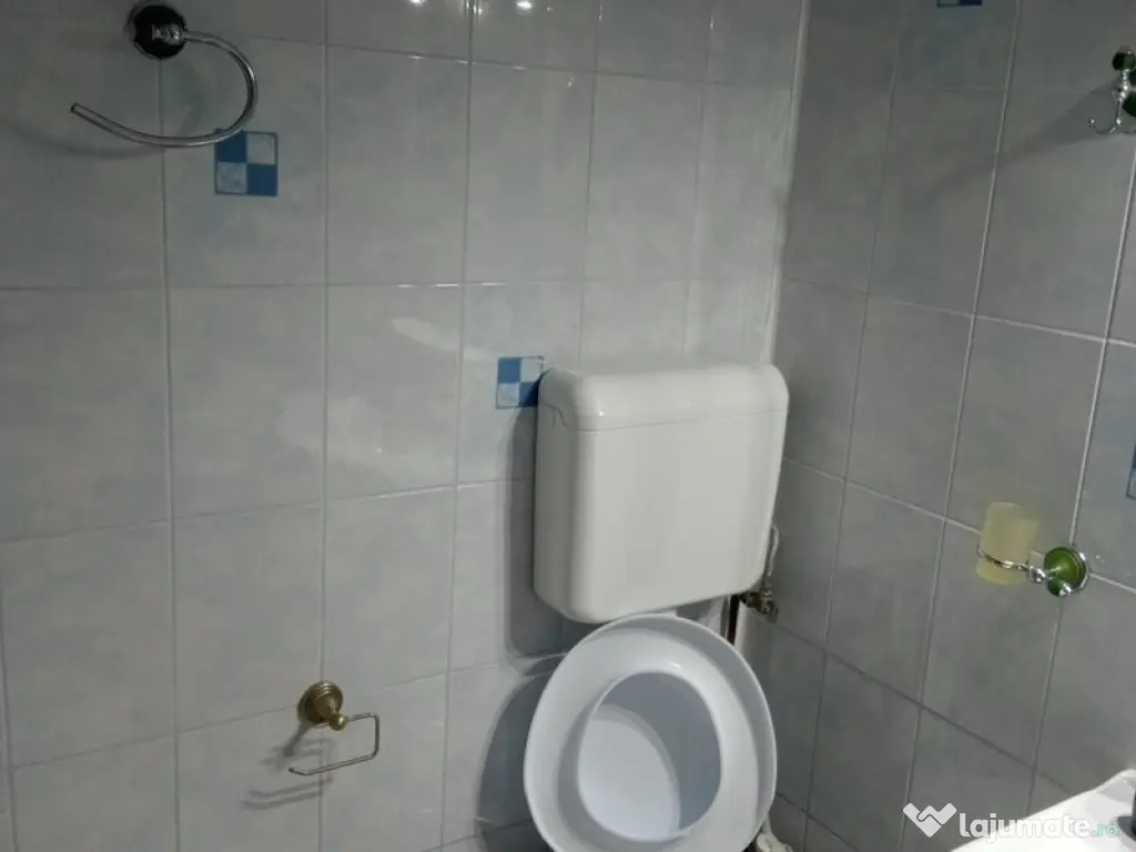 Berceni brancoveanu parter - Bucuresti (Bucuresti-Ilfov)