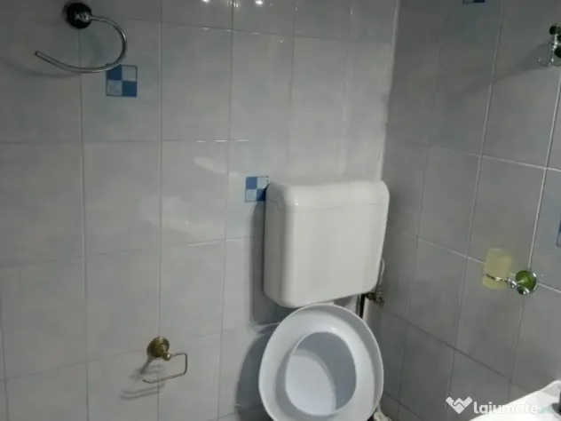 Berceni brancoveanu parter - Bucuresti (Bucuresti-Ilfov)