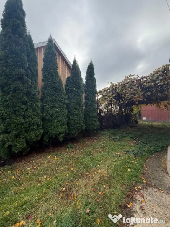 Zona spital , casa individuala, teren 504mp - Radauti (Suceava)
