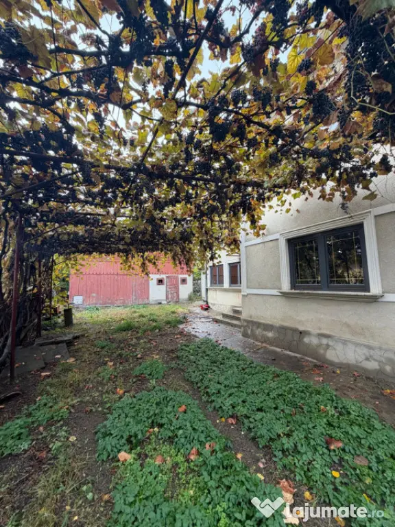 Zona spital , casa individuala, teren 504mp - Radauti (Suceava)