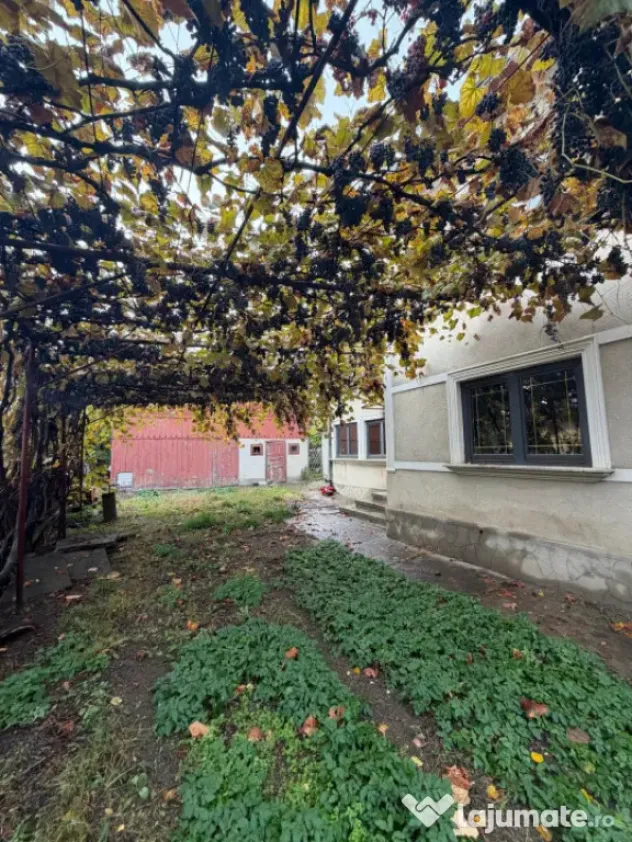 Zona spital , casa individuala, teren 504mp - Radauti (Suceava)