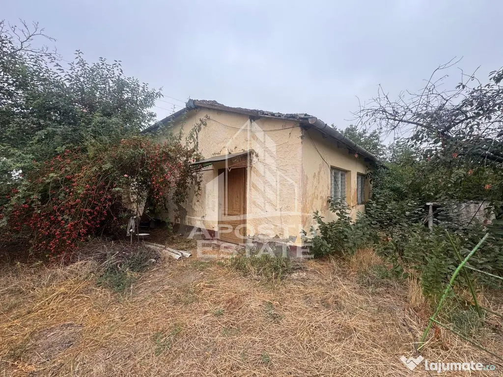 Casa batraneasca si teren de 1439mp, in Dudestii Vechi, Timis - Dudestii Vechi (Timis)
