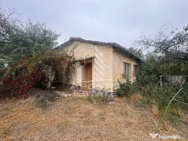 Casa batraneasca si teren de 1439mp, in Dudestii Vechi, Timis - Dudestii Vechi (Timis)