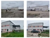 Hala, casa, 2 terenuri, Sat Palanga, Com. Popesti, jud. Arges 