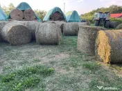 Baloti lucerna ecologica uscata sau infoliatia (semifân)
