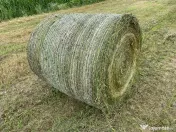 Baloti lucerna ecologica uscata sau infoliatia (semifân)