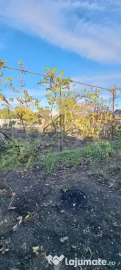 Casa 3 camere,curte si gradina 