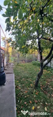 Casa 3 camere,curte si gradina 
