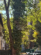 Centru Cluj-Napoca, apartament cu 1 camera 