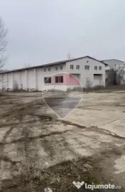 Spațiu industrial, depozitare, hale, teren 68365 mp Targu-Jiu vanzare 