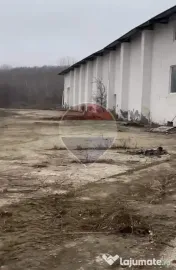 Spațiu industrial, depozitare, hale, teren 68365 mp Targu-Jiu vanzare 