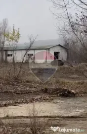 Spațiu industrial, depozitare, hale, teren 68365 mp Targu-Jiu vanzare 