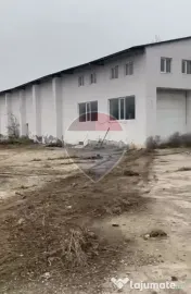 Spațiu industrial, depozitare, hale, teren 68365 mp Targu-Jiu vanzare 