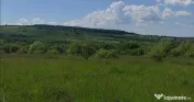 OPORTUNITATE DE INVESTIȚIE – TEREN 6.200 MP | ȘOMCUTA M 