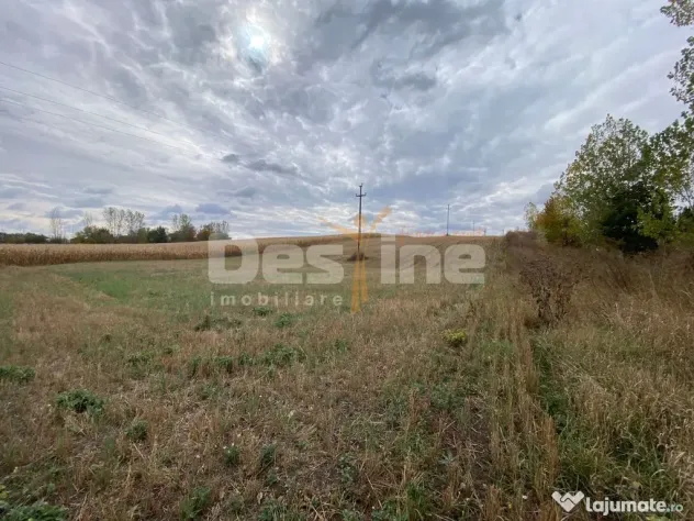 Teren Girov 6400mp 35.000€ - Girov (Neamt)