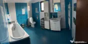 Casa P+M de vanzare 216mp , sat Nisipoasa 155000 euro 