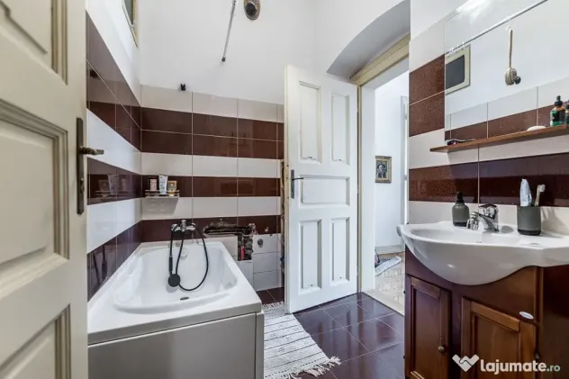 3 camere în Palatul Gemeinhardt, pe malul Begăi | Timișoara - Timisoara (Timis)