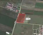Teren pe DN Arad-Oradea 31000mp - ID : RH-7498-property