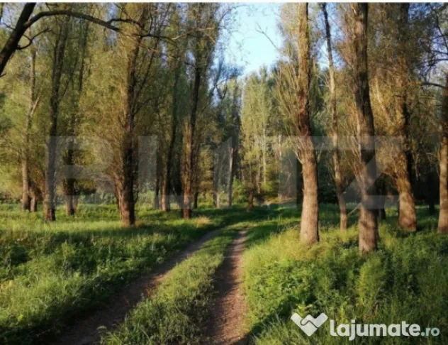 Teren, 120000mp, Insula Calinovat, Moldova Noua