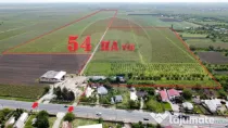 Oportunitate vie 54 ha la DN E85