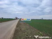 Teren Moara Vlasiei 65000 mp Industrial utilitati apropiere 