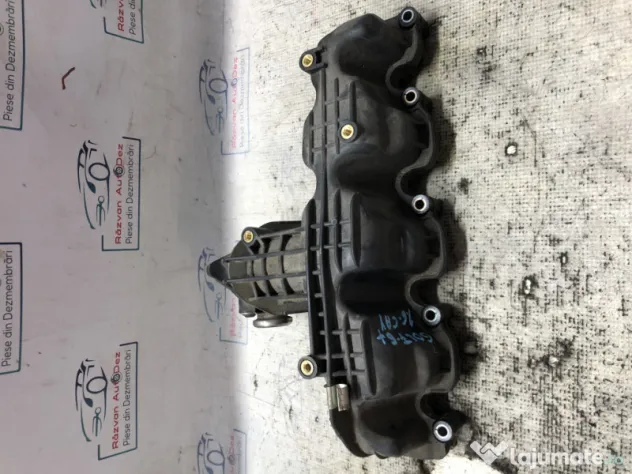 Galerie Admisie Plastic Volkswagen Golf 6 Plus 1.6 2010