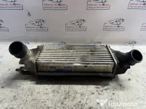 Intercooler Ford Ecosport 1.0 Benzina 2015