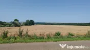 Teren extravilan Balteni la limita intravilanului 