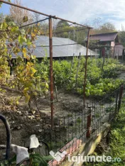 Casă Vladesti Țarina 