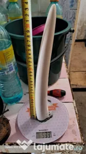 Arta AFRICANA, Statuete, Fildes 