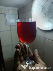 Vin de țară (căpșunică)