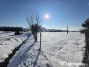 Teren cu suprafata 5300 mp intravilan 