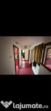 Apartament cu 3 camere decomandat zona Cotu Mic 