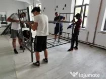 PATURI Metalice orice tip/model/dimensiuni