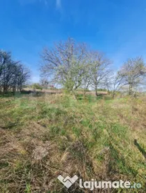 Teren partial intravilan, 4000 mp, Valea Chintaului