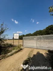 Teren 459mp deschidere la padurea Snagov! Mega reduceri de pret 