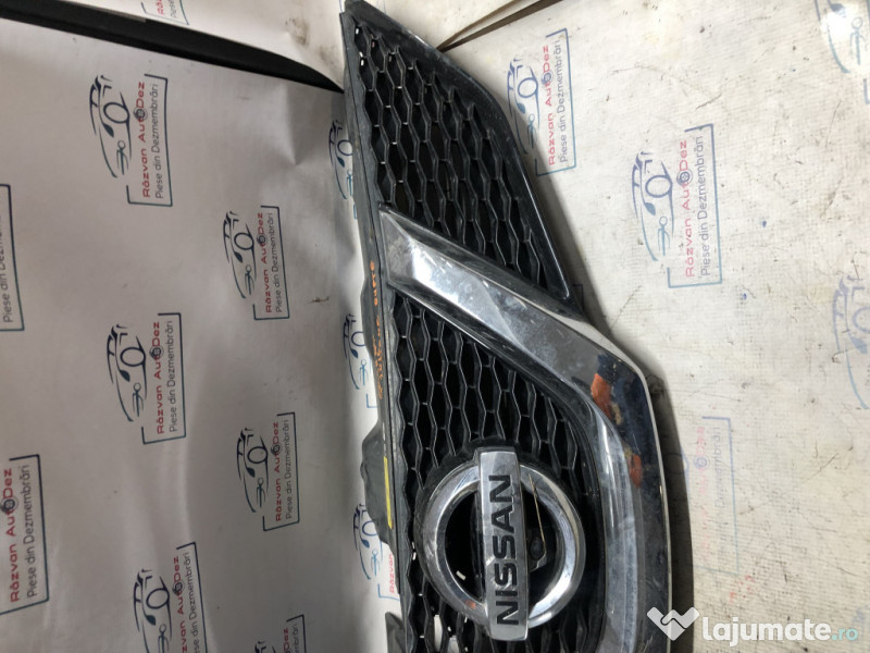 Grila bara fata cu camera Nissan Qashqai 2016