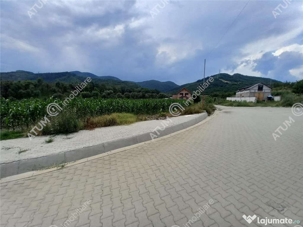 De 733 mp in Boita Sibiu - Boita (Sibiu)