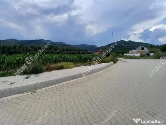 De 733 mp in Boita Sibiu - Boita (Sibiu)