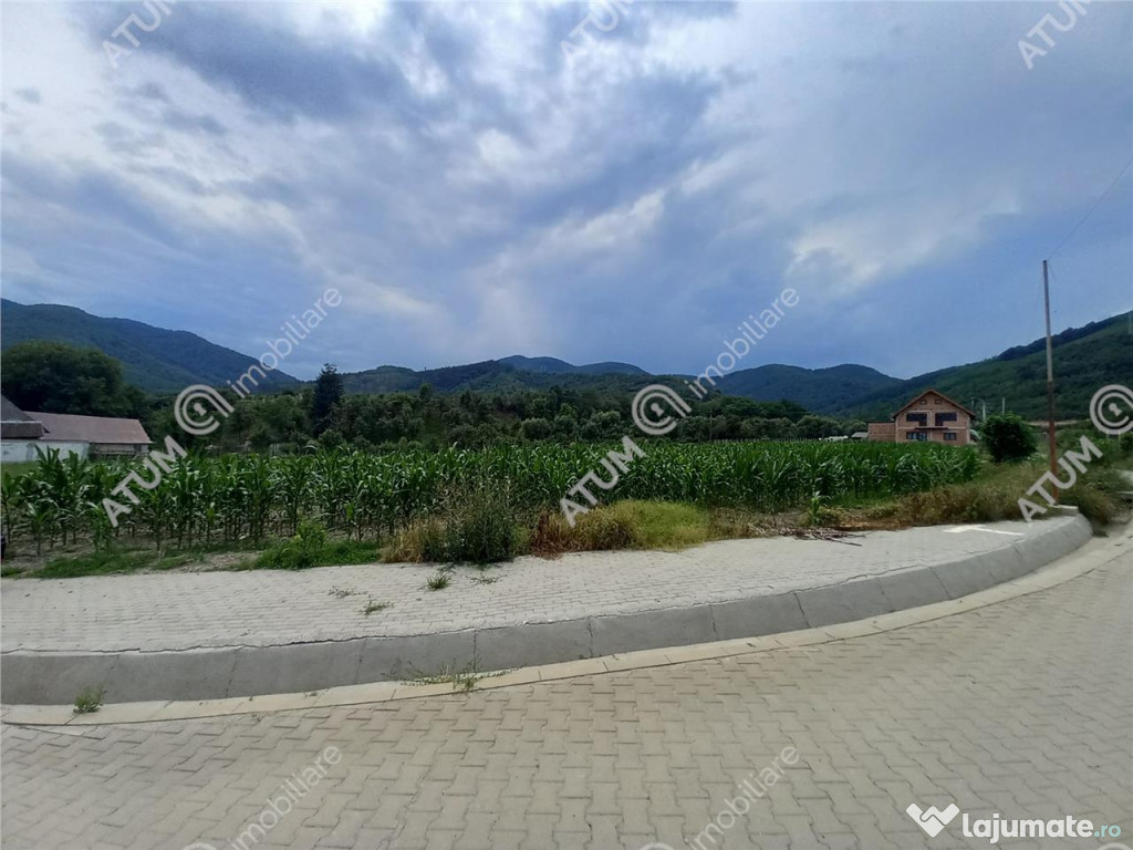De 733 mp in Boita Sibiu - Boita (Sibiu)