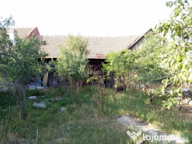 Berliste, Casa 6 Incaperi, 1129mp Teren, Pret Negociabil