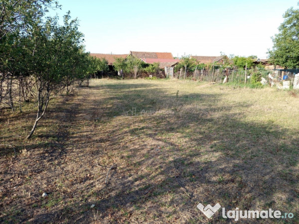 Berliste, Casa 6 Incaperi, 1129mp Teren, Pret Negociabil