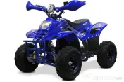 ATV electric ECO Bigfoot 800W 36V cu Baterie Detasabila BLUE 