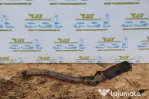 Toba esapament intermediara Volkswagen VW Passat B6 [2005 -