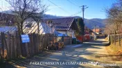 CALIMANESTI, TEREN 1231 MP